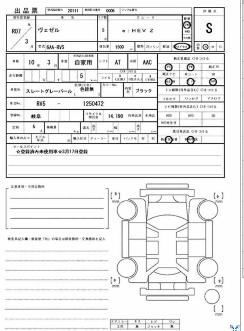 Option Certificate